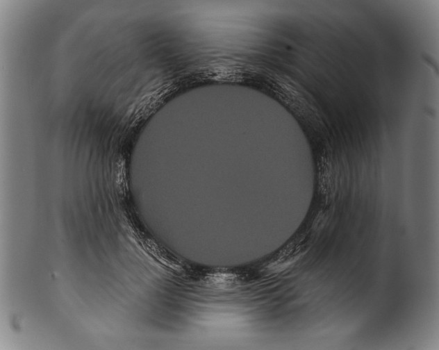 X0000099430748200806061019