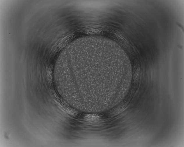 X0000099430749200806061019