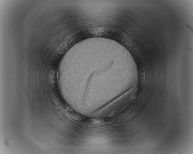 X0000099430750200806061019