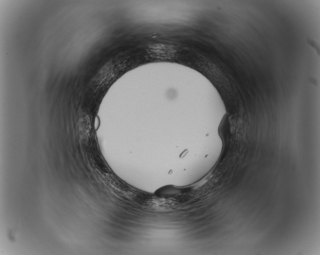 X0000099430752200806061019