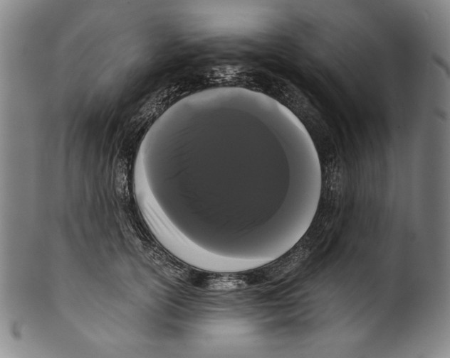 X0000099430754200806061019