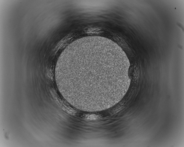 X0000099430755200806061019