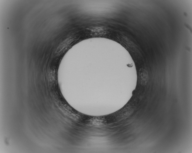 X0000099430756200806061019