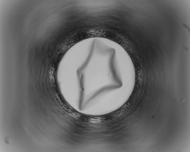 X0000099430757200806061019