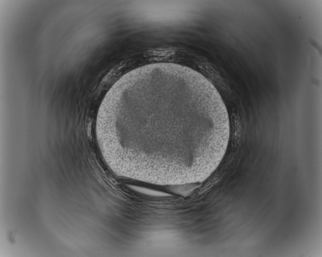 X0000099430758200806061019