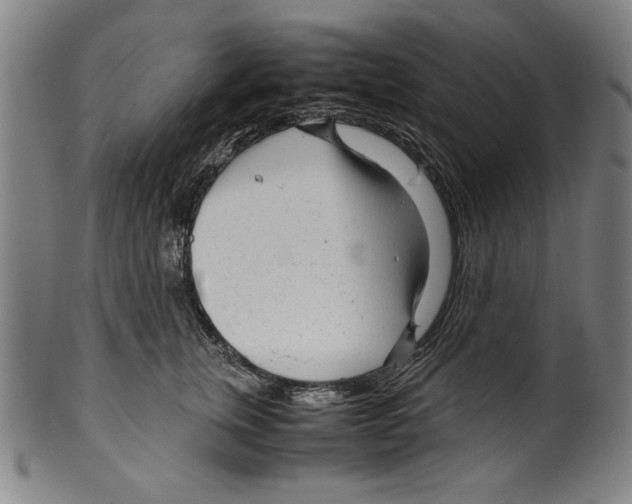 X0000099430759200806061019