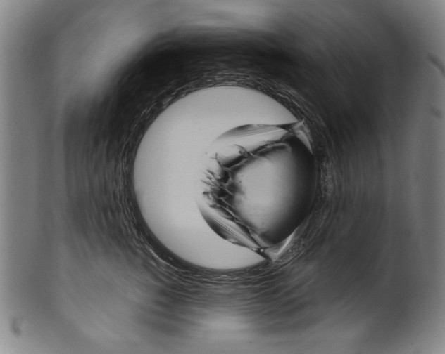 X0000099430760200806061019