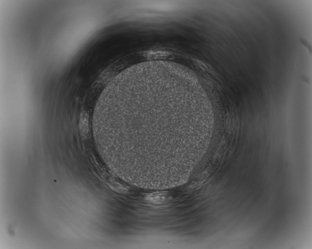 X0000099430761200806061019