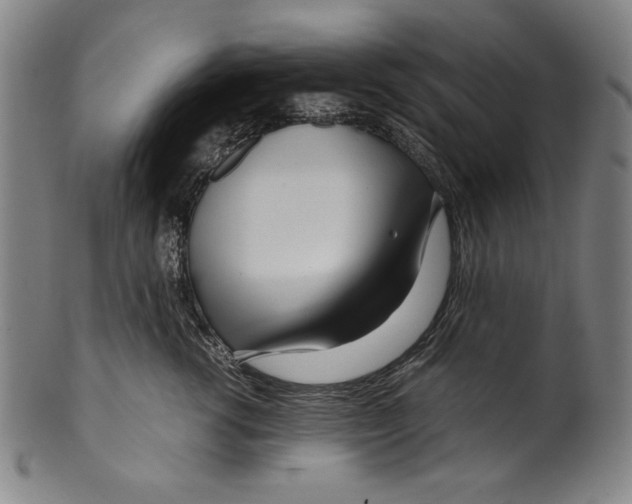 X0000099430762200806061019