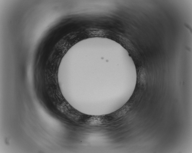 X0000099430764200806061019