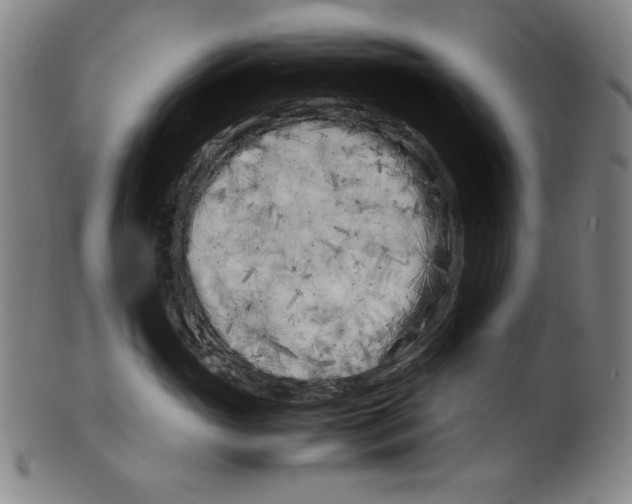 X0000099430765200806061019