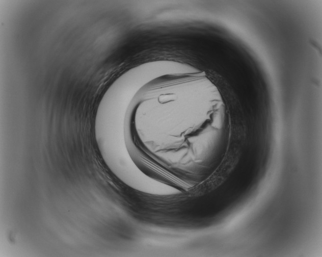 X0000099430766200806061019