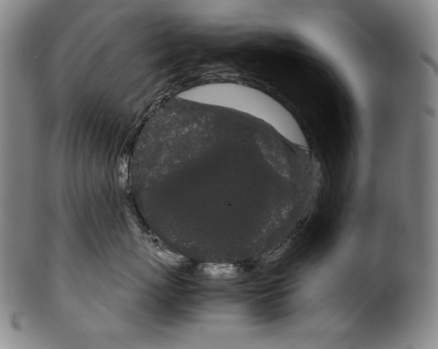 X0000099430767200806061019