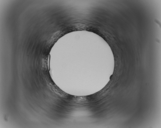 X0000099430768200806061019