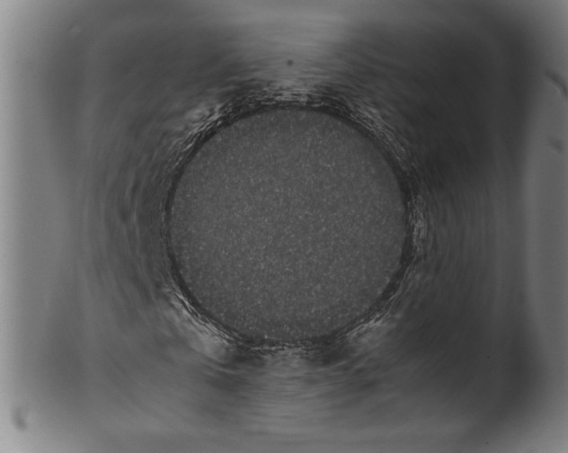 X0000099430769200806061018