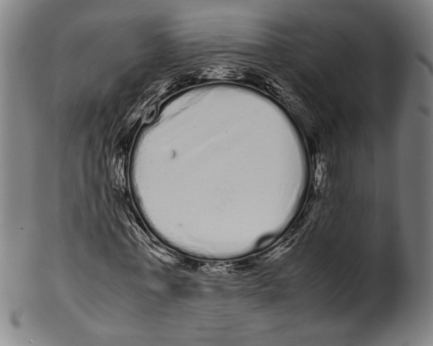 X0000099430771200806061018