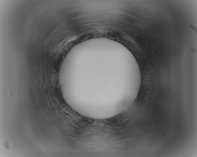 X0000099430773200806061018