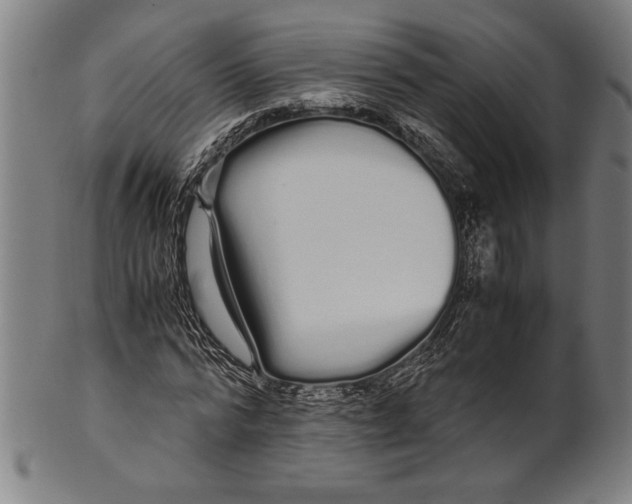 X0000099430776200806061018