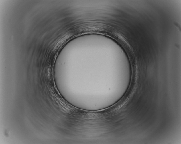 X0000099430777200806061018