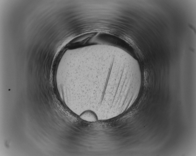 X0000099430780200806061018