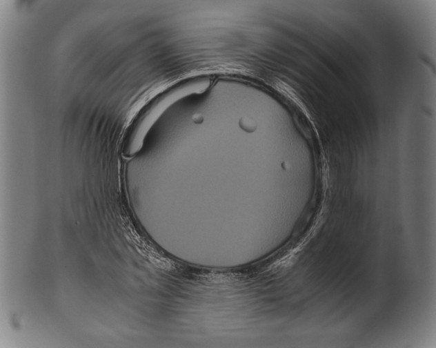 X0000099430781200806061018