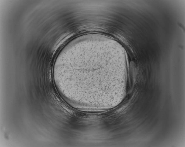 X0000099430782200806061018