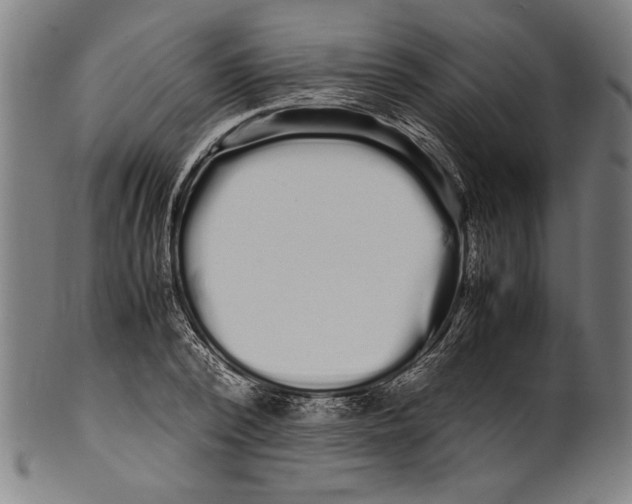 X0000099430784200806061018