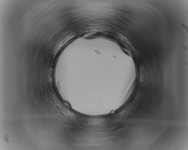 X0000099430786200806061018