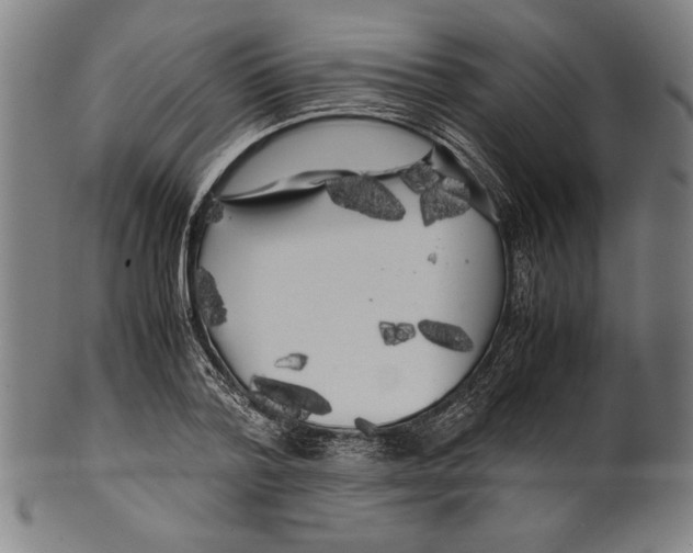 X0000099430788200806061018