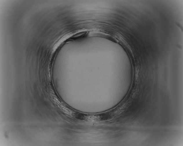 X0000099430789200806061018