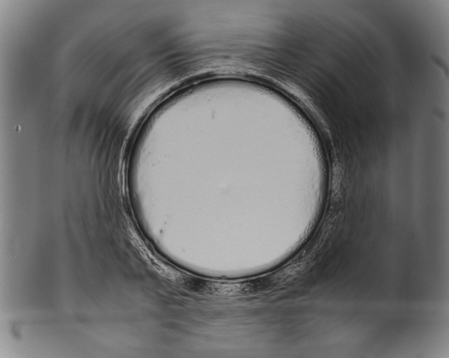 X0000099430791200806061018