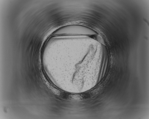 X0000099430792200806061018