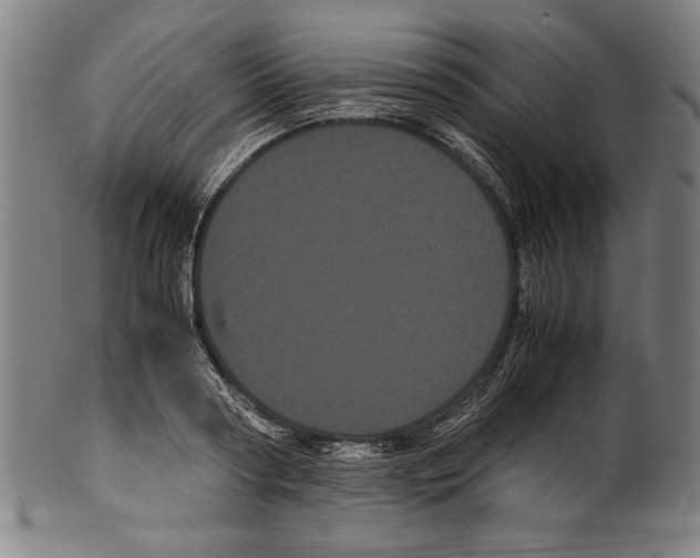 X0000099430794200806061018