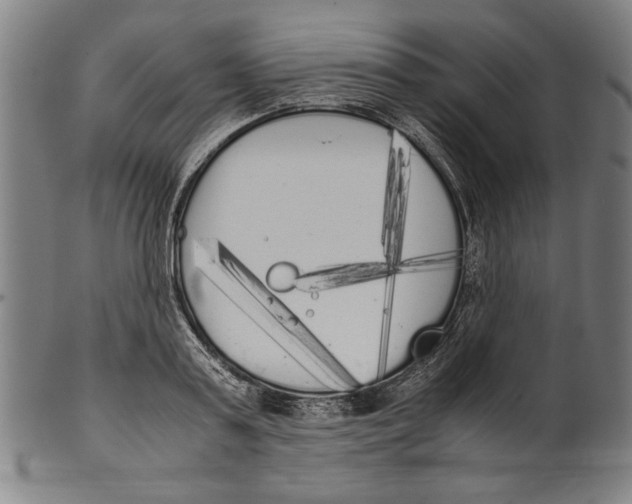 X0000099430795200806061018