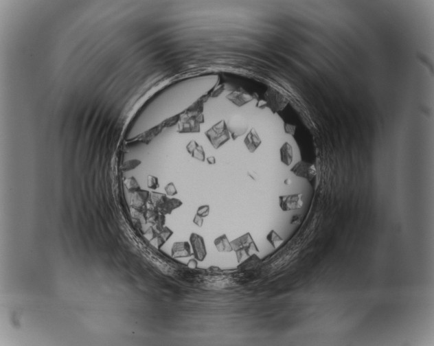 X0000099430798200806061018