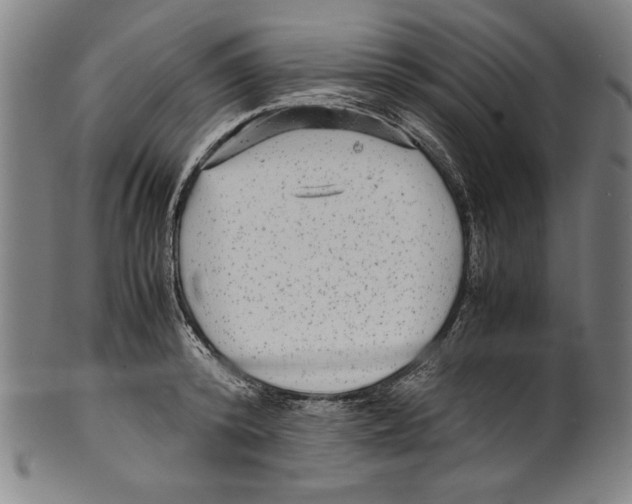 X0000099430800200806061018