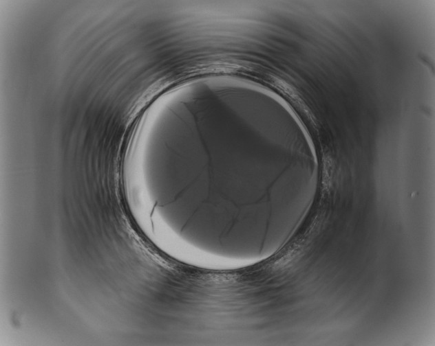 X0000099430802200806061018