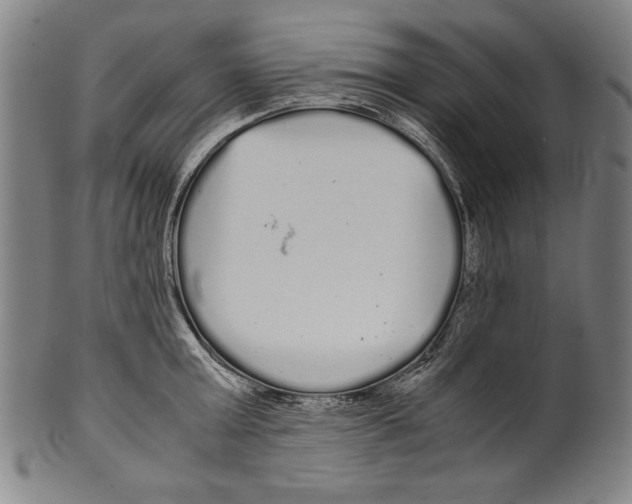 X0000099430803200806061018