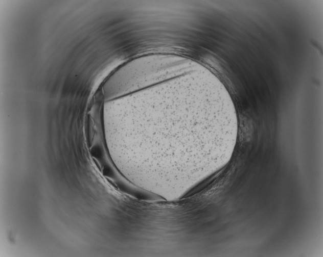 X0000099430804200806061018