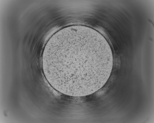 X0000099430807200806061018