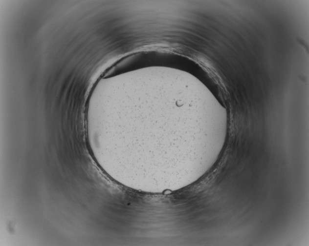 X0000099430808200806061018