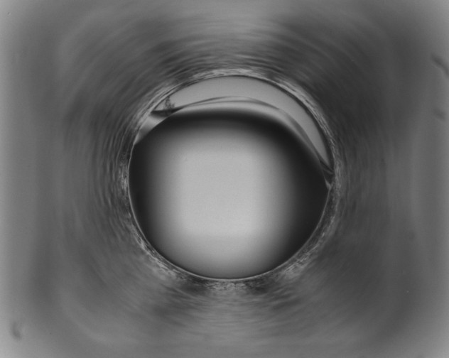 X0000099430809200806061018