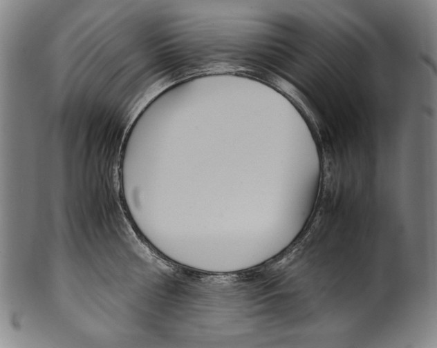 X0000099430810200806061018