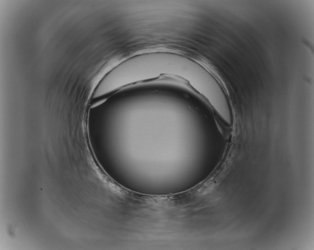 X0000099430813200806061018