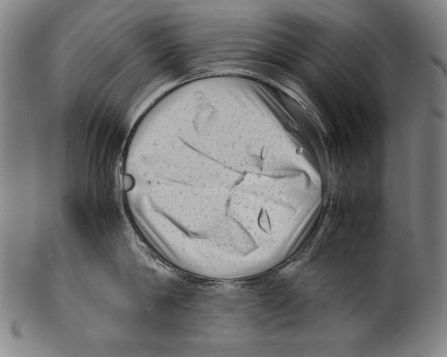 X0000099430814200806061018