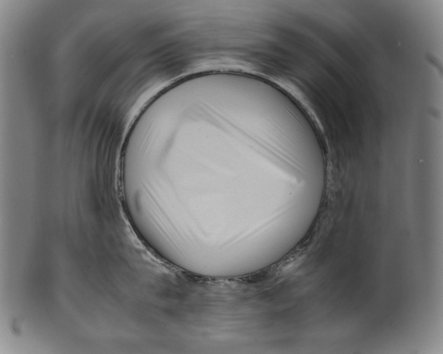 X0000099430815200806061018