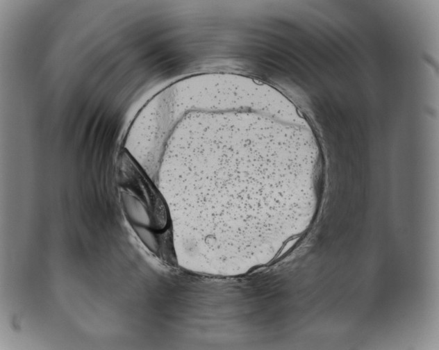 X0000099430816200806061018