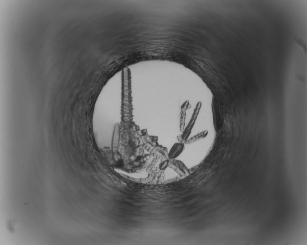 X0000099430817200806061017