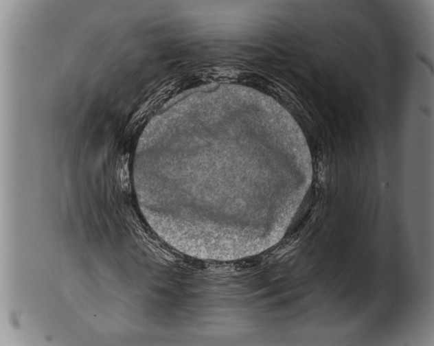 X0000099430818200806061017