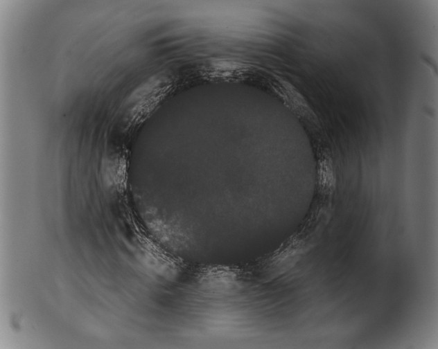 X0000099430820200806061017